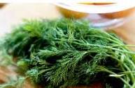 خرید نقدی سبزی شوید خشک صادراتی + تخفیف ویژه